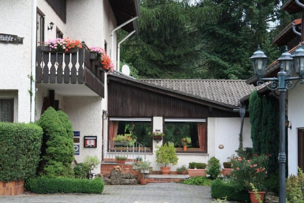 Rhönhotel Alte Mühle image 11
