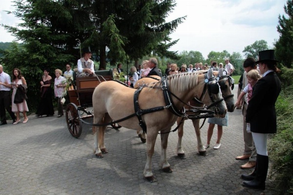 Rhönhotel Alte Mühle image 17